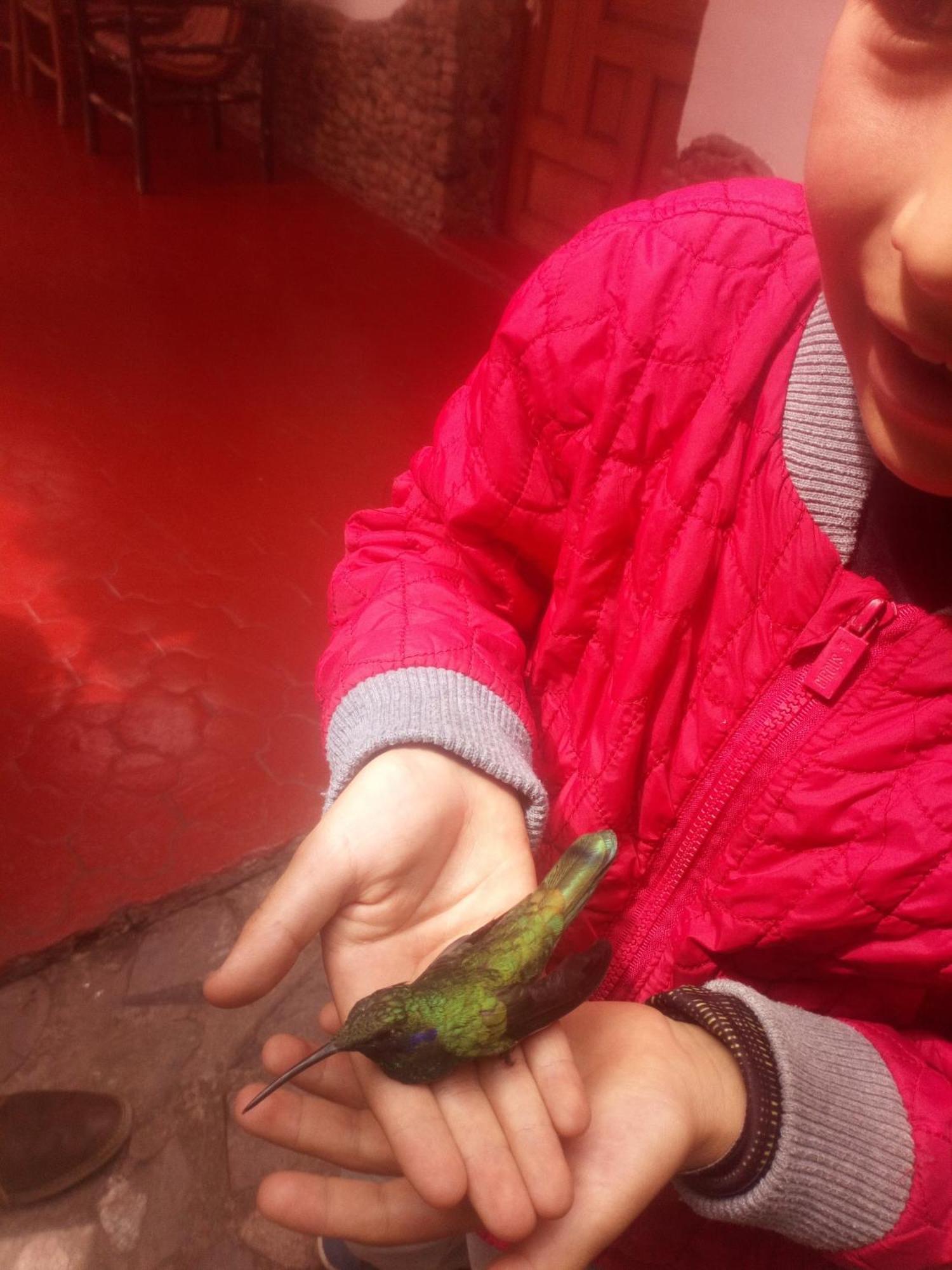 Ecolodge Ccatan Urubamba Buitenkant foto