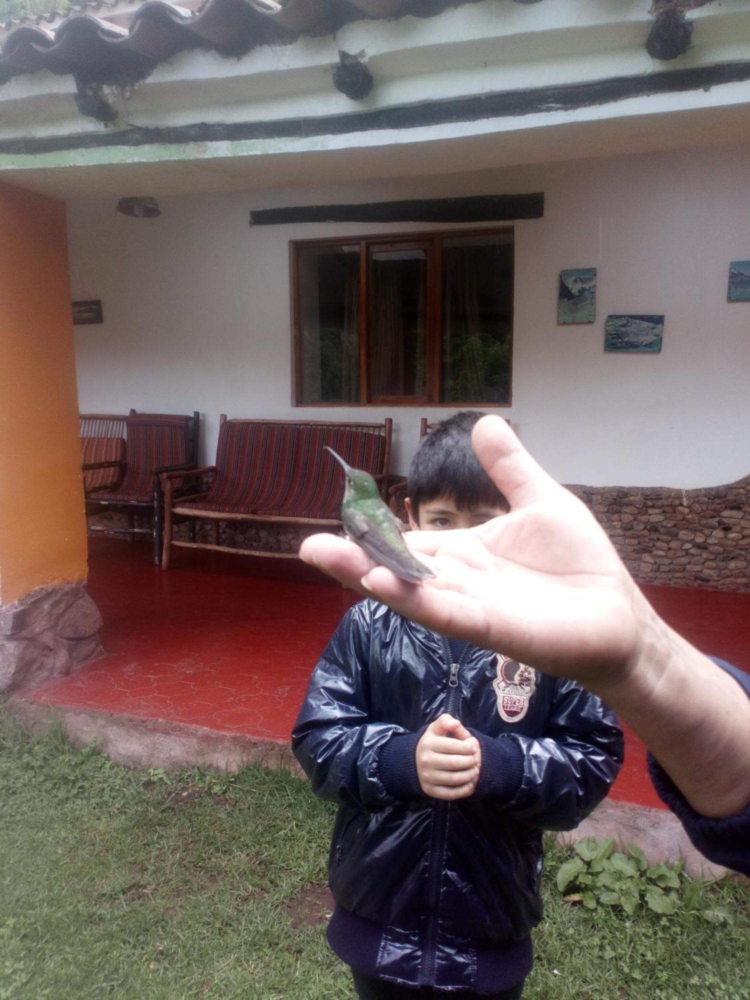 Ecolodge Ccatan Urubamba Buitenkant foto