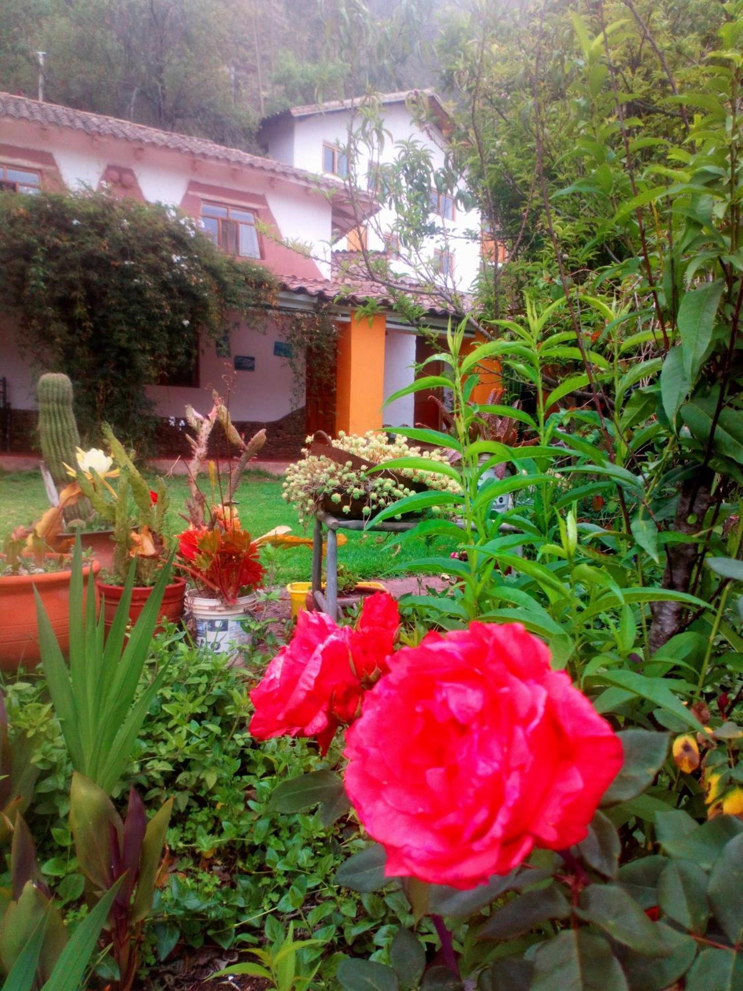 Ecolodge Ccatan Urubamba Buitenkant foto