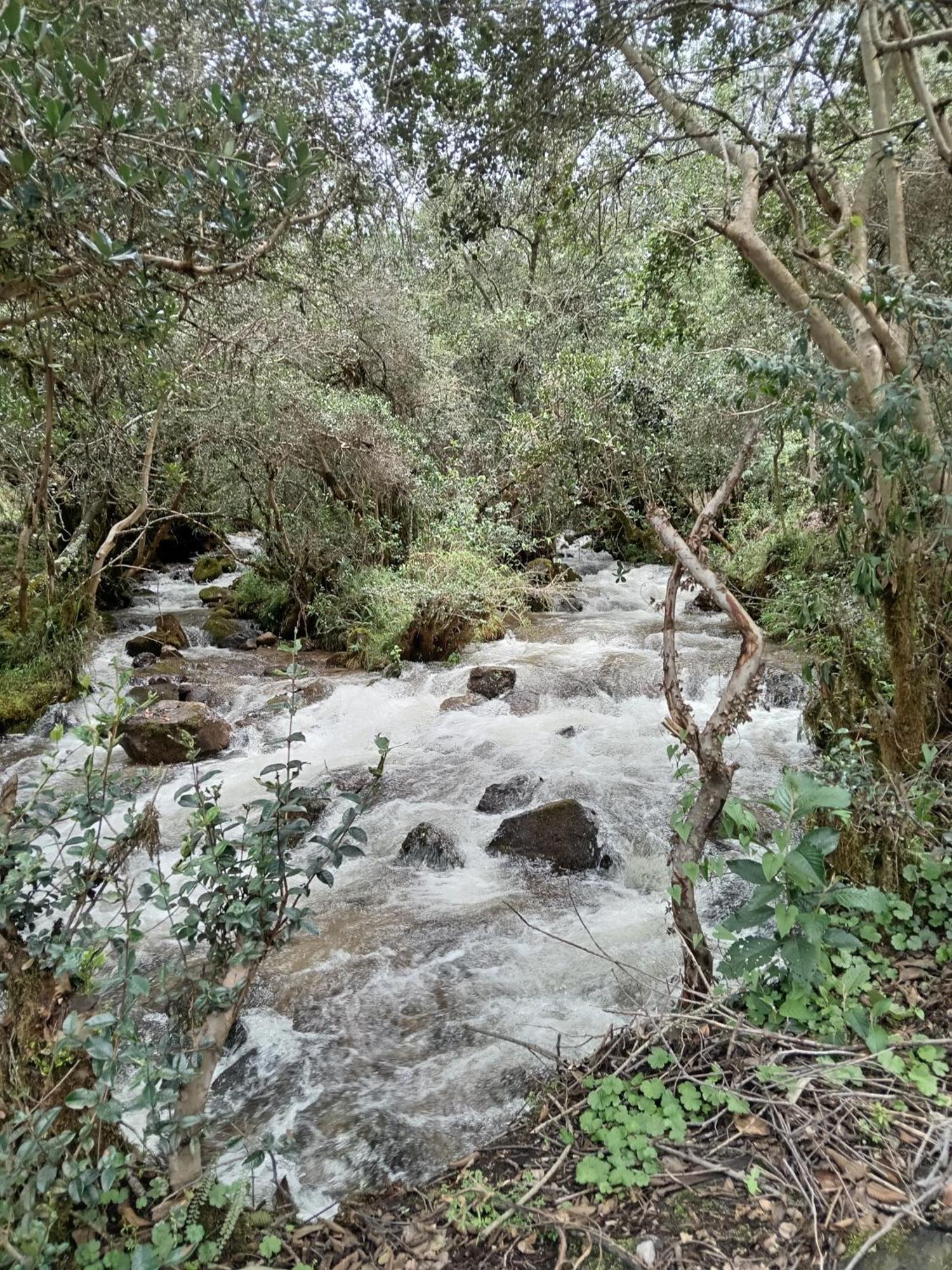Ecolodge Ccatan Urubamba Buitenkant foto